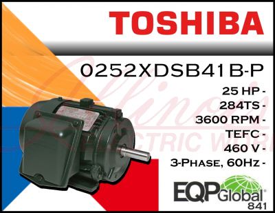0252XDSB41B-P